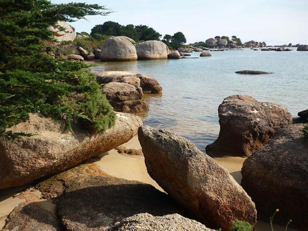Appartement A Cote Du Port De Ploumanac'H Perros-Guirec Buitenkant foto